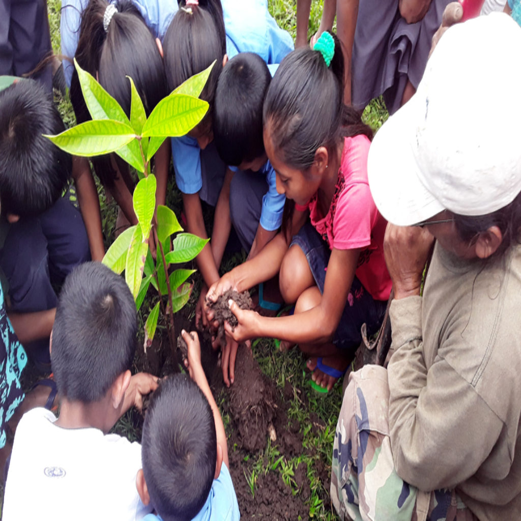 Malay Apple Planting - EcoTourism Belize