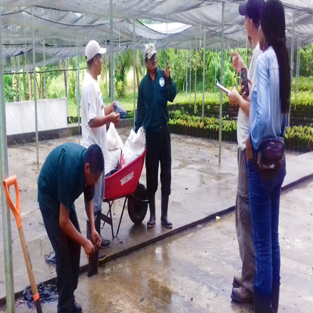 Nursery training - EcoTourism Belize